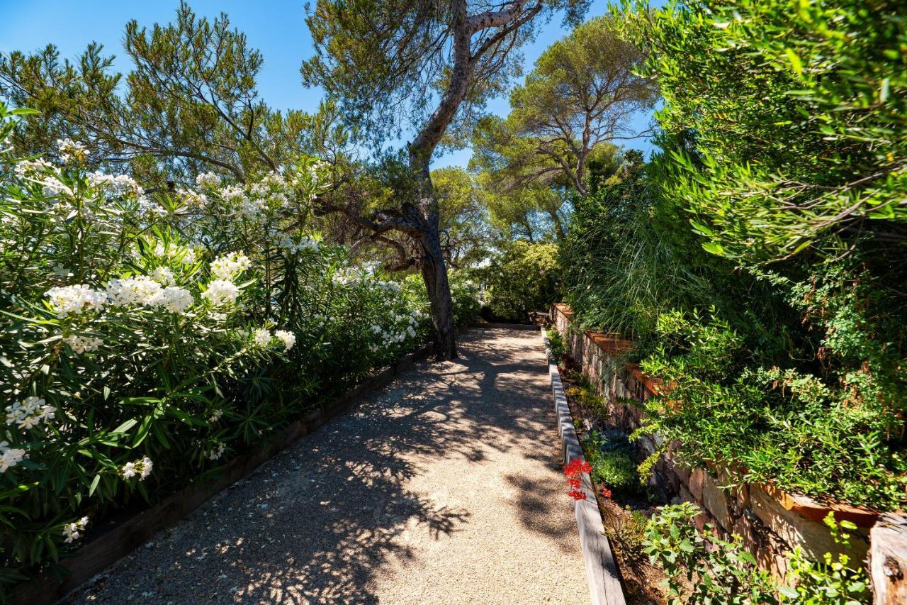 Villa Catleya Appart Hotel Saint-Raphaël Exteriör bild